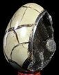 Septarian Dragon Egg Geode - Black Crystals #54557-1